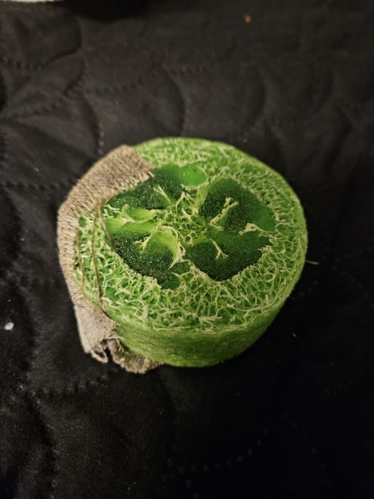 Mydło antycellulitowe z gąbką Loofah