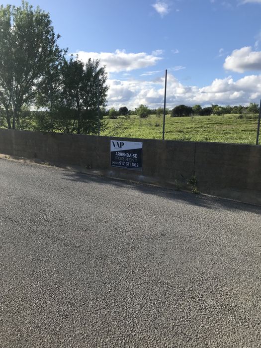 Arrenda-se terreno de 17000 m2 em Lagoa no Algarve