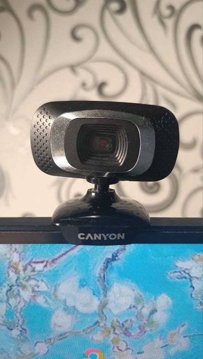 Вебкамера Canyon