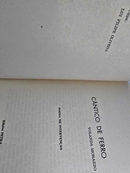 Cântico de Ferro, Poesia de Intervenção - Yolanda Morazzo