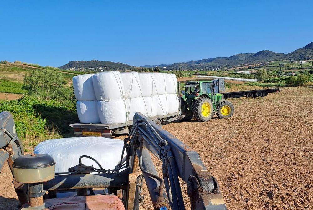 Fardos de feno 80x90 e bolas de fenosilagem