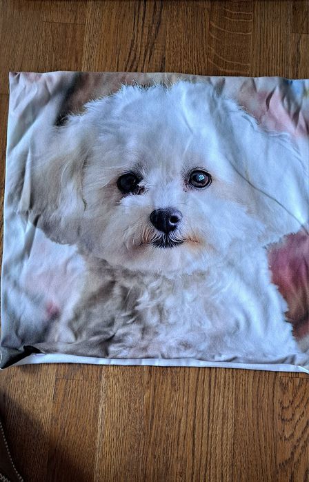 Наволочки нові з принтами  собачок(болонка) 45×45