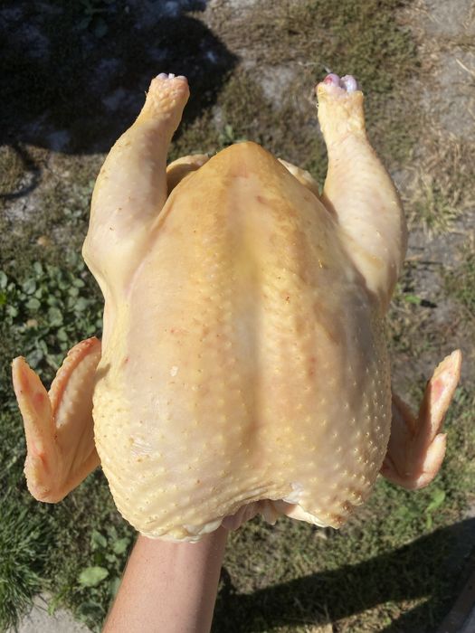 Смачний домашній бройлер