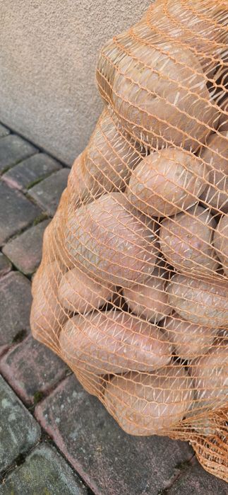 Ziemniaki bellarosa redsonia