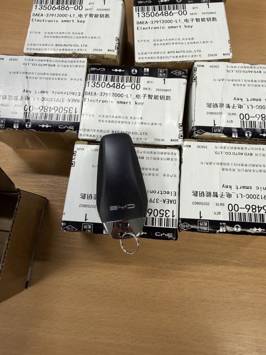 Оригінальні ключі BYD