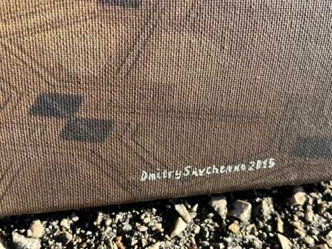 Fotografia contemporanea / Dimitri Savchenco / assinado
