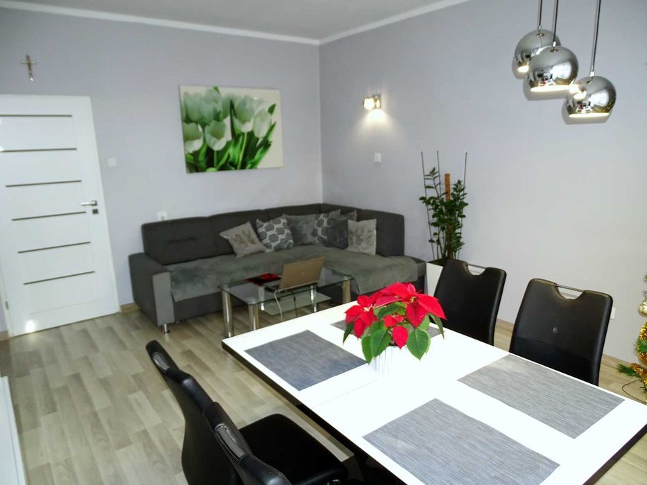 Dom z gotowym biznesem - okolice Ścinawy