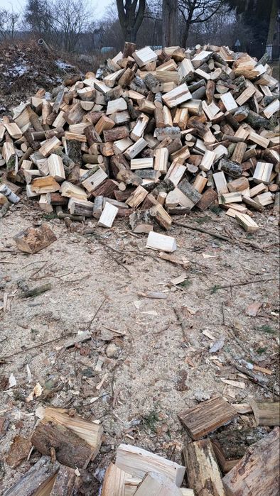 Drewno kominkowe/ opałowe