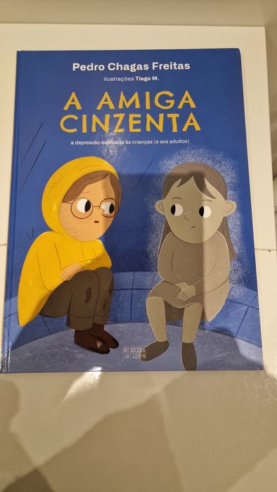 Livro "A amiga cinzenta "