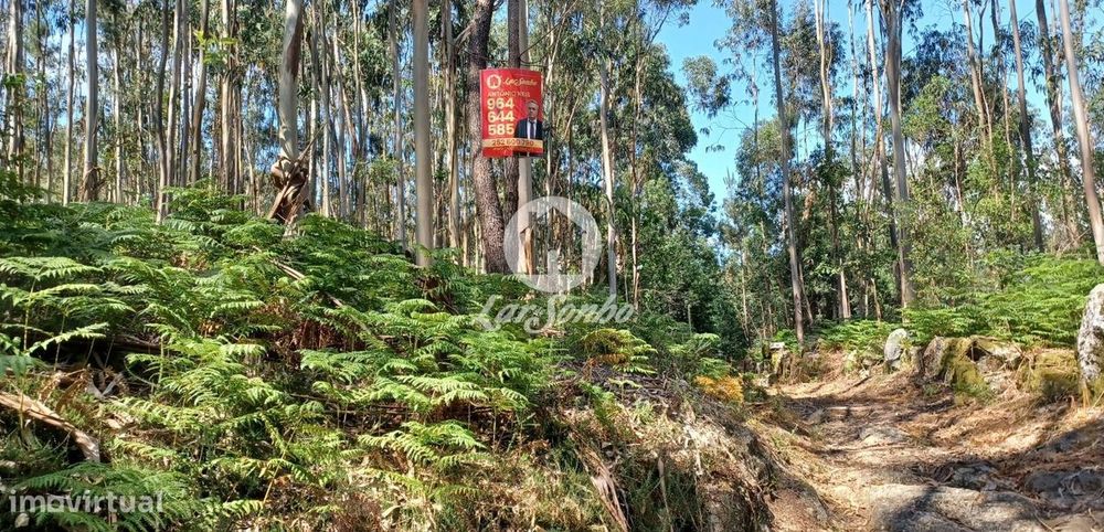 Bouça com 2.500m2 em Novais, Famalicão