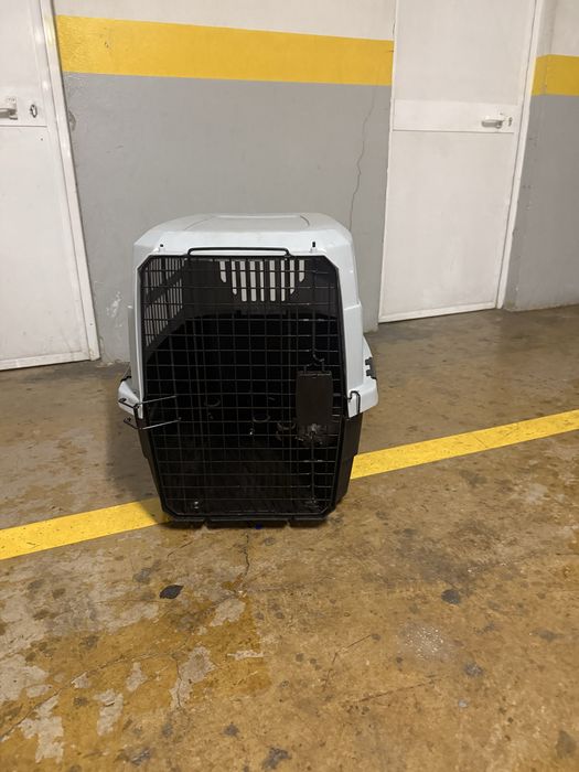 Transportadora de animais (cão)