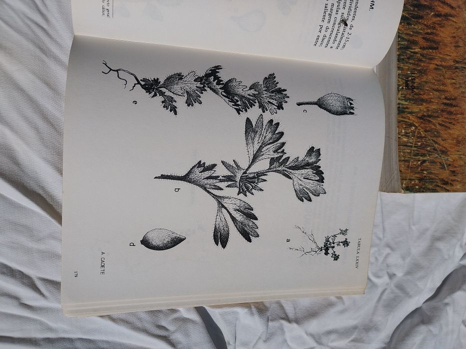 Livro - Catálogo das plantas infestantes das searas de trigo