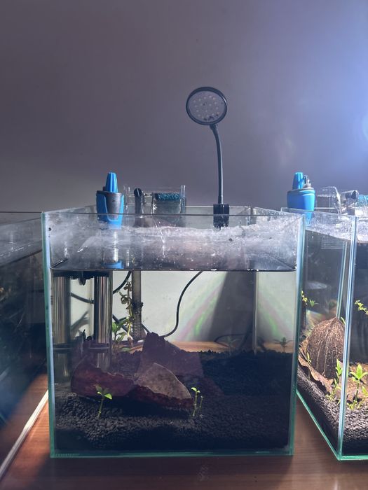 Kits aquario 10L (x2)