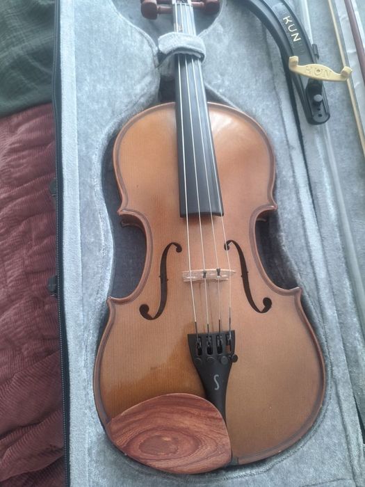 Viola de arco com extras