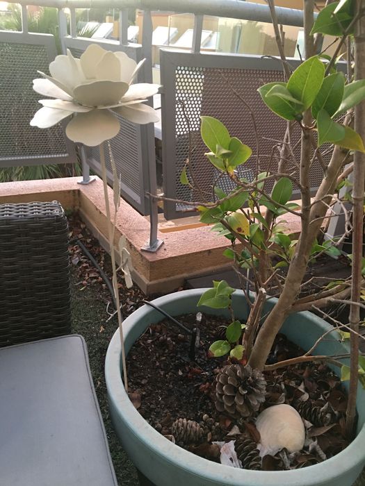 Rosa grande em ferro porta velas