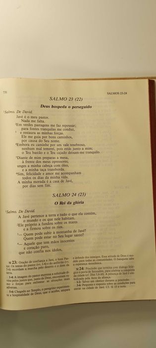 Bíblia Pastoral ilustrada por Gustave Doré 2 volumes