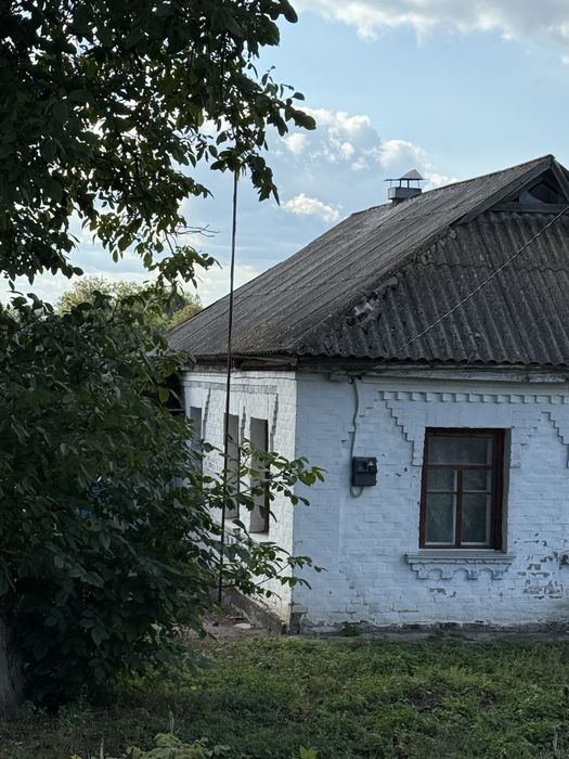 Продається будинок у місті Липовець