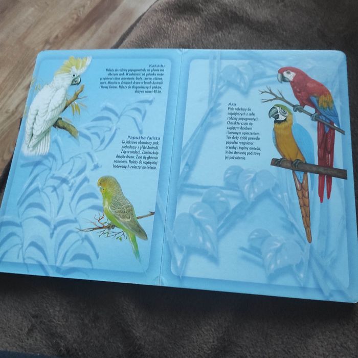 Atlas zwierząt w zoo dla dzieci