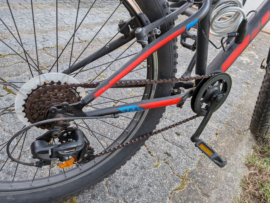 Bicicleta Aurelia Plus 24
