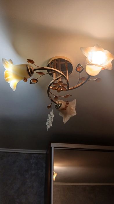 Люстра мотолочна