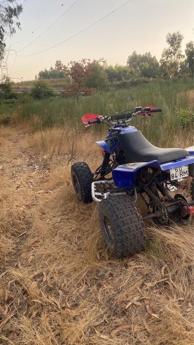 Yamaha warrior 350