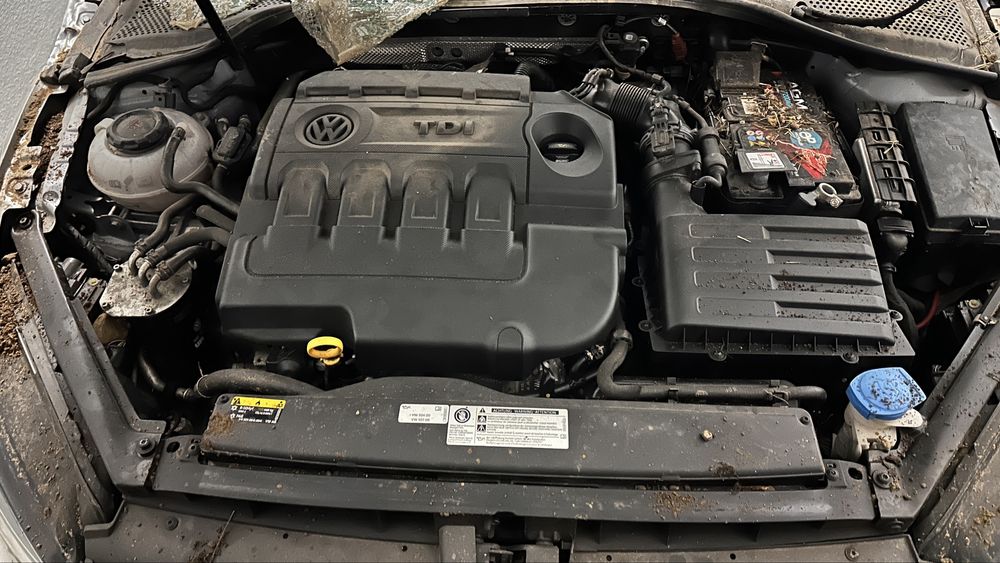 VW golf Vll 1.6TDI 115cv