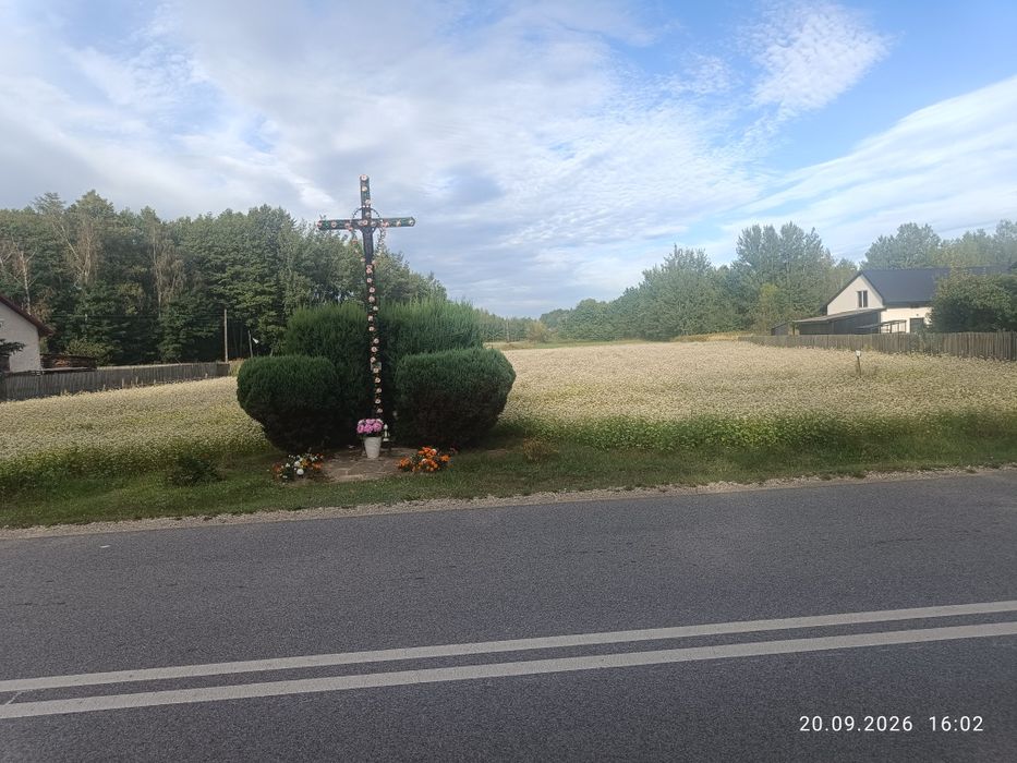 Zdjęcie 3