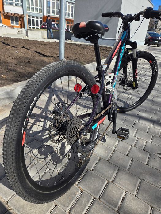 Connadal trail 24"