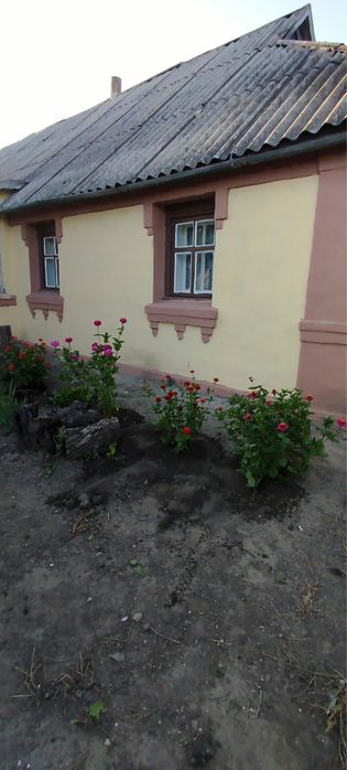 Сдам дом с.Пустоваровка Сквирский район, Киевская область. Тихое спокойное место. Без обстрелов.
