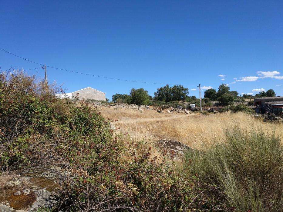 Terreno em Cinco Vilas 2428m2 - Fig Castelo Rodrigo/Guarda