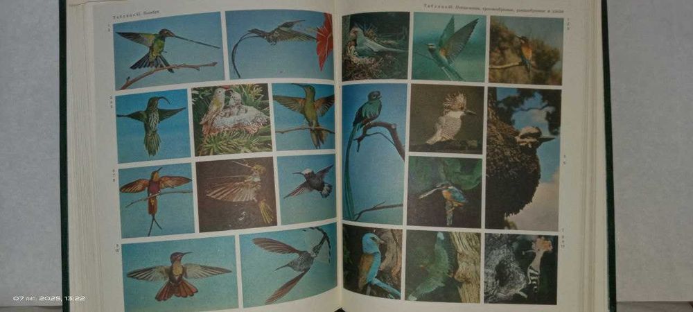 Жизнь животных в 7-ми томах