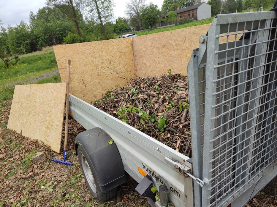Ogarniemy zarośnięta działkę pod sprzedaż lub budowę!