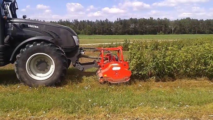 Odmładzanie i karczowanie plantacji porzeczek, aronii i agrestu – Sochaczew / Łowicz / Skierniewice i okolice