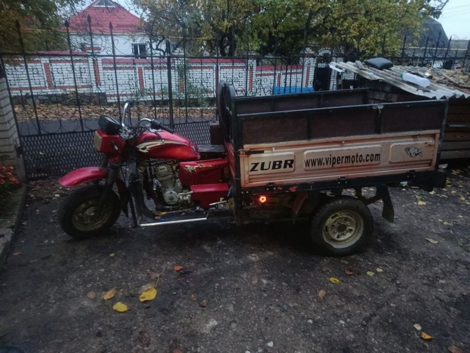 Продам муравей зубр