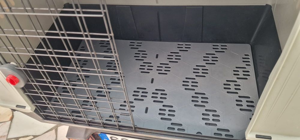 Box de transporte de animais