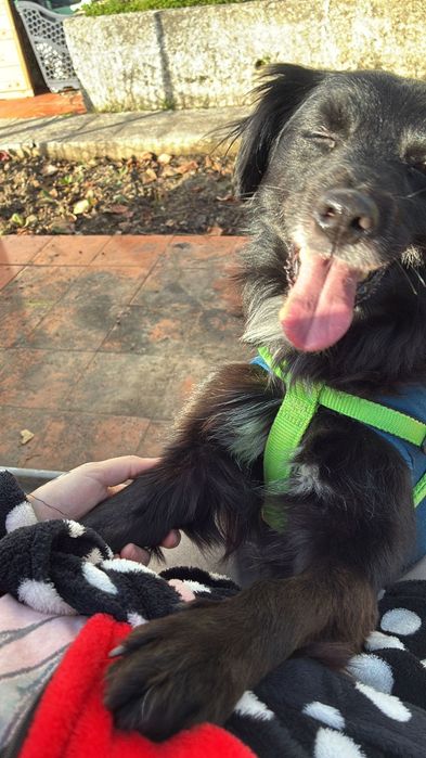 Cafezinho pronto para familia maravilhosa