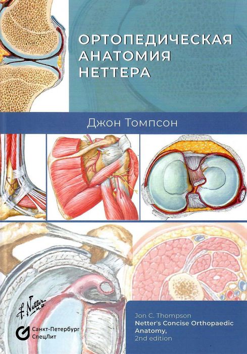Ортопедическая анатомия Неттера