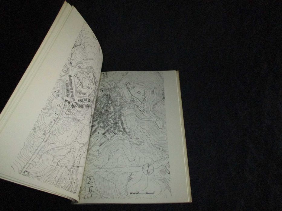 Livro Toponímia Abrantina Eduardo M. T. Campos