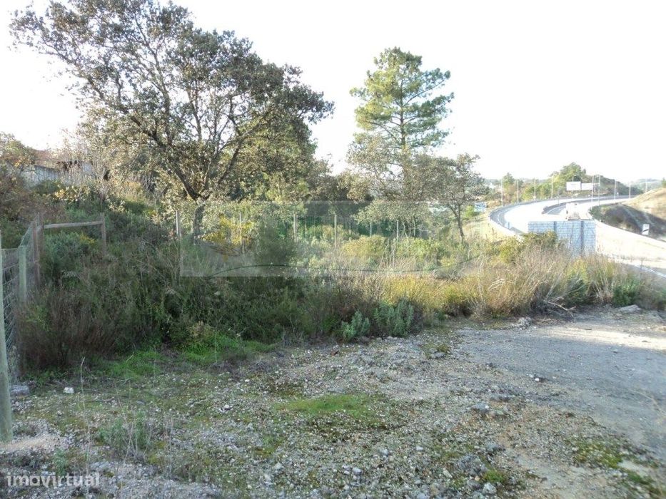 Terreno - Tomar — Carregueiros, Santarém