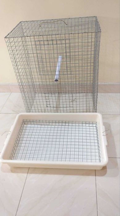 Acessórios e gaiola para aves