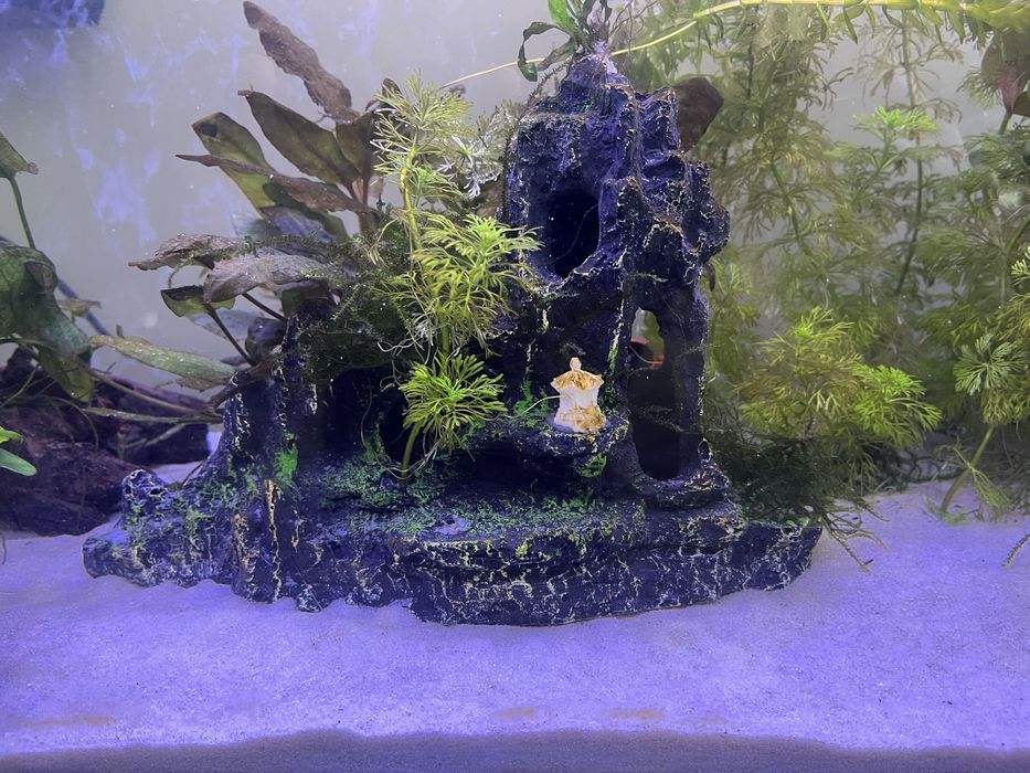 Vendo varias decoracões para aquario (ler descricão)