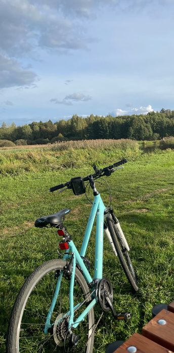 Rower Wheeler Cross 6.1 Niebieski