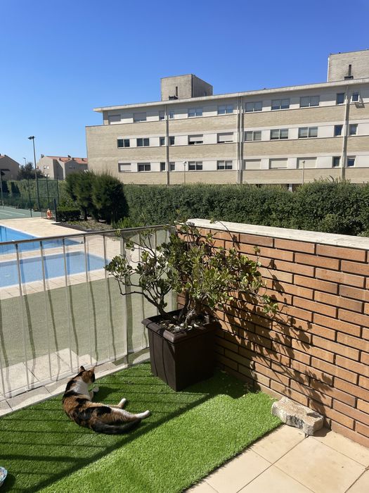 Rolo de Relva artificial leroy merlin "santorini"