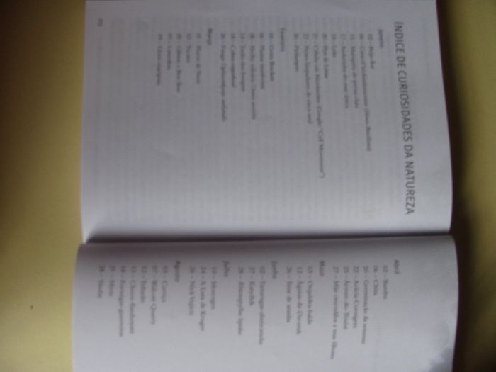O Deus das Maravilhas - Meditações Matinais de David A. Steen