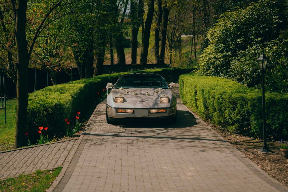 Szampańska Corvette C4 - wynajem samochodu, auto na ślub, wesele