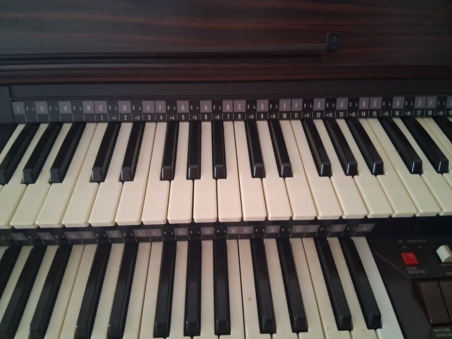 Orgao de marca Bontempi,nao funciona