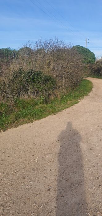 Armazém com terreno