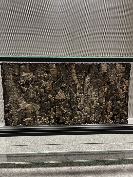 Terrarium 60x30x30 ścianka/tło