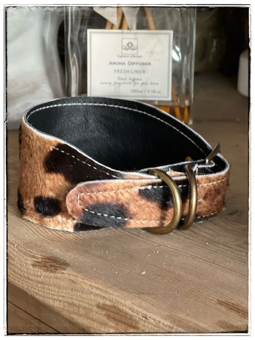 Zamszowa obroza sla Charta