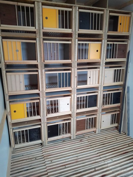 Wyposażenie gołębnika